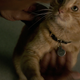 Goose, Captain Marvel’s true star.